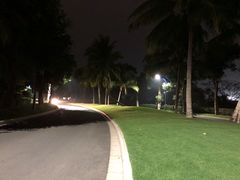 -蓝湾绿城威斯汀度假酒店大堂吧