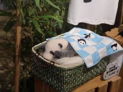 -方所(华润万象城店)