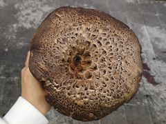 -聚福源·特色川菜馆·烤羊排