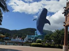 -珠海长隆海洋王国