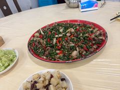 -东吴霸王兔(松青路店)