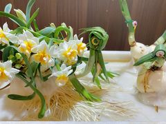 -东南花都花博园