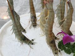 -牛天下·海鲜·牛肉·打边炉·融合菜