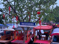 -白洋淀风景区