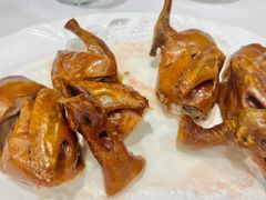 -骏莱海鲜鱼港(五角场店)
