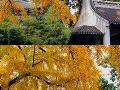 -惠山古镇·寄畅园