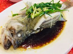 清蒸海鲈鱼-化州大众美食城(宝安老牌店)
