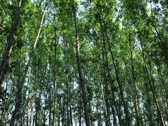 -野鸭湖国家湿地公园