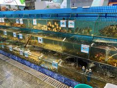 水产区-范饭椰林川湘味海鲜·椰子鸡(三亚湾椰梦长廊店)