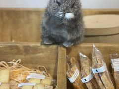 -La Porte de Paris 巴黎之门法式甜品