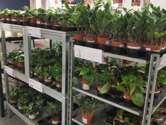 -宜家家居(哈尔滨商场店)