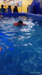 -子木乐园婴儿游泳馆(水晶港店)