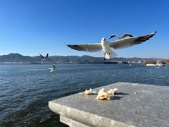 -海埂大坝