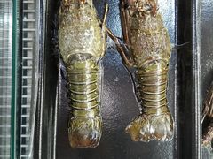 -盒马鲜生(宝地店)