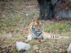 -西安秦岭野生动物园