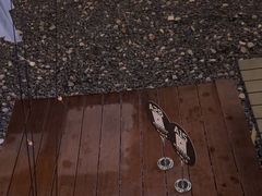 -DGE季风钓虾营地·团建·聚会