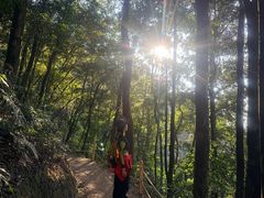 -广州市帽峰山景区