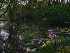 -上海共青森林公园