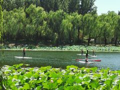 -WhaleSports户外水上运动俱乐部(朝阳公园店)
