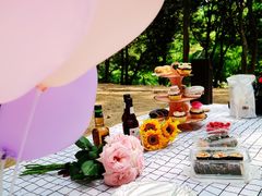 -上海共青森林公园