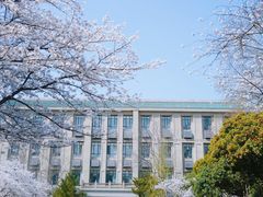 -武汉大学-樱园