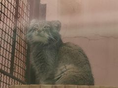 -青藏高原野生动物园