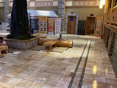 -金沐汤泉