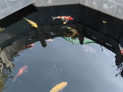 -西安市广仁寺