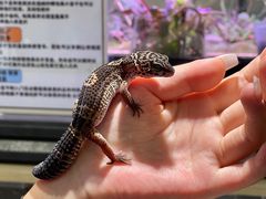 -义乌之心城市生活广场