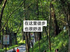 -广州雕塑公园
