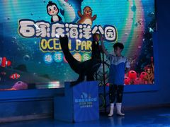 -石家庄海洋公园