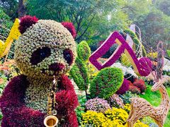 -杭州植物园