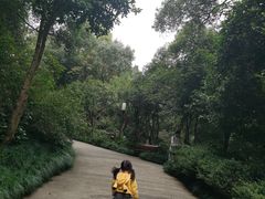 -杭州少年儿童公园