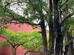 -北京市劳动人民文化宫(太庙)