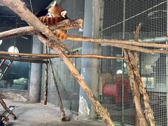 -鄂尔多斯野生动物园