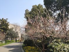-圩墩遗址公园