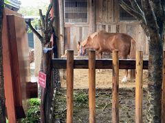 -驿舍·民國老营房院子私房菜(科学会堂店)