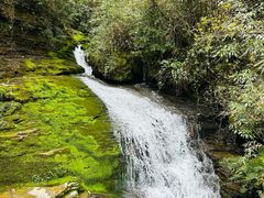 -鹿院坪生态旅游景区