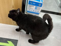 -中农大我爱我爱动物医院·核磁CT·猫病·24小时夜诊中心(石佛营店)