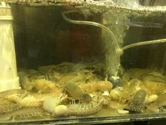 -美味海鲜大排档(明发美食地标店)