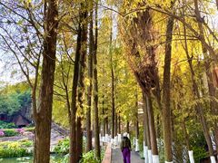 -广州莲花山旅游区
