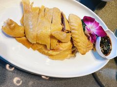 -碧丽宫大酒店(召稼楼店)
