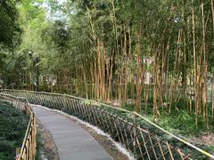 -西湖外事游船(湖滨二公园外事游船码头)