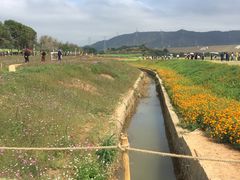 -光明小镇欢乐田园