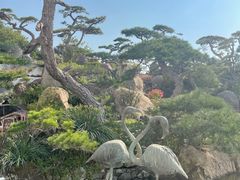 -罗红摄影艺术馆