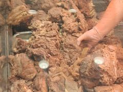 -高玛纳驴肉火烧(河间总店)