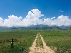 -青海湖国家重点风景名胜区