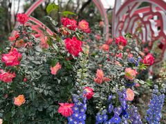 -人民公园(罗湖区)