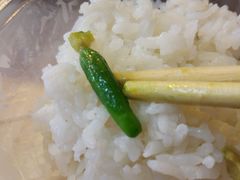 -龙小海荆沙鸽子店(瑞安街店)