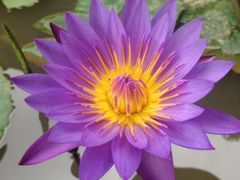 iphone_upload_pic-Club Med地中海俱乐部·桂林度假村